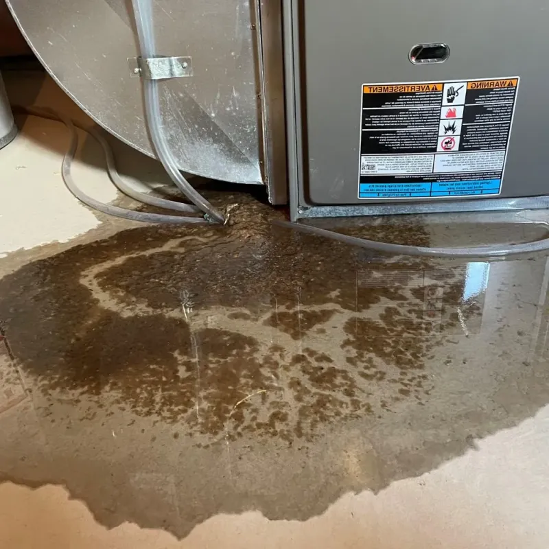 Pipe Burst and Leak Restoration in Easton, CT