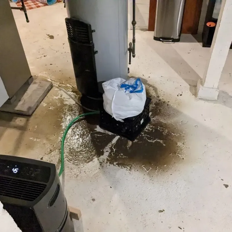 Sewage Backup Cleanup Service in Easton, CT